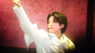 [SVT/คำบรรยายภาษาจีน] ดอนกิโฆเต้ ◎ ลืมปลาหางดำไปได้เลย!! ดอนกิโฆเต้ผู้ยิ่งใหญ่และเร่าร้อนกลับมาอย่าง