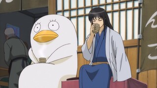 【Katsura Kotaro】Purple La Collection