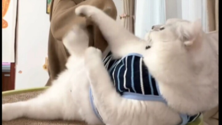 Hilarious—mother and daughter are going at it in the livestream, with Fen even throwing punches and 