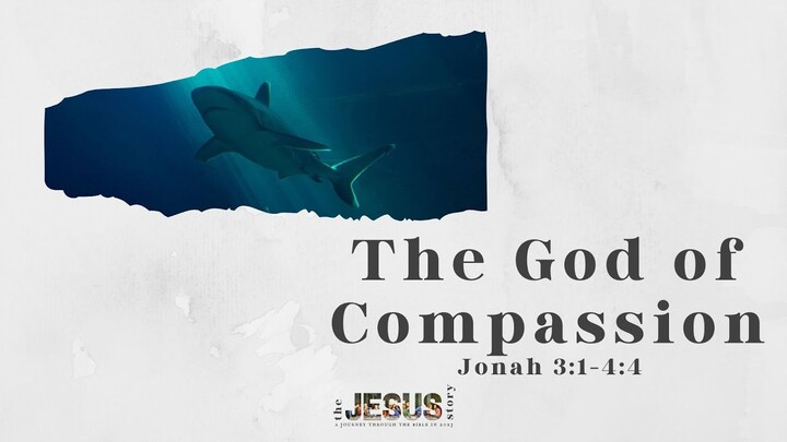 The God of Compassion | The Jesus Story