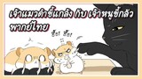 ( Yaoi ) เจ้าแมวดำขี้แกล้ง กับ เจ้าหนูขี้กลัว ✿ พากย์ไทย ✿ ( พากย์วาย )