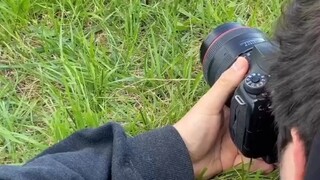 拍摄