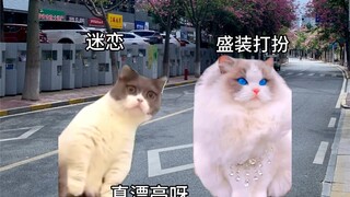 俩人刚在一起时VS在一起很长时间后