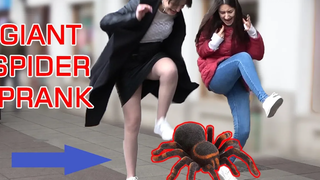 GIANT SPIDER SCARE PRANK - Crazy Spider Prank - ปฏิกิริยาที่น่ากลัว