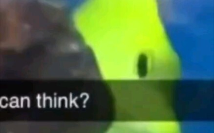 Con cá trốn tránh