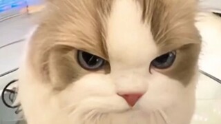 开！开......嘿嘿