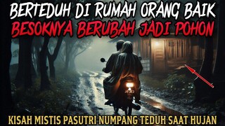 NUMPANG TEDUH DI RUMAH ORANG BAIK, TERNYATA RUMAH ITU POHON BESAR - cerita mistis - cerita misteri