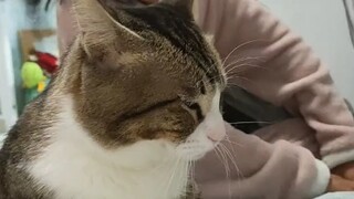 Here we go again—totally impressed! It's so smooth, I just can't stop watching.