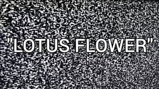 [gsarci cover] radiohead - lotus flower