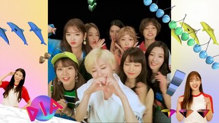 DIA Can't stop Mv