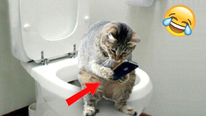 Huggy Wuggy Dressing Up 5 Fnaf Fnf Spiderman Venom Poppy Playtime Animation Bilibili