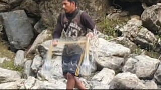 cast net fishing in Nepal | asala fishing | Himalayan trout fishing |