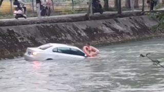 Those two brothers are awesome!