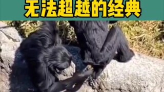 让人受不了得搞笑尴尬瞬间