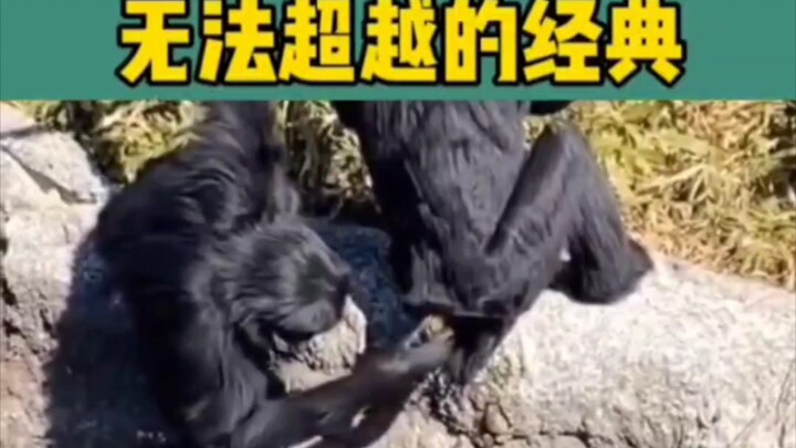 让人受不了得搞笑尴尬瞬间