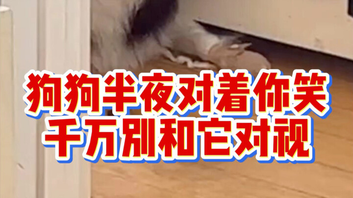 At midnight, if your dog is hiding by the door and seems to be smiling at you, absolutely avoid maki