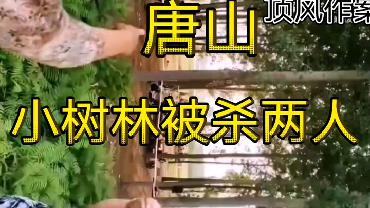 Two people killed in the small woods after Tangshan's Thunder Operation