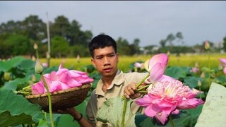 Làm Món Bánh Hoa Sen Bắt Nguồn Từ Ẩm Thực Trung Hoa