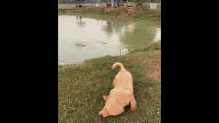 อโลนอะลาว อ๊ะอ๊าวไม่มีแฟน