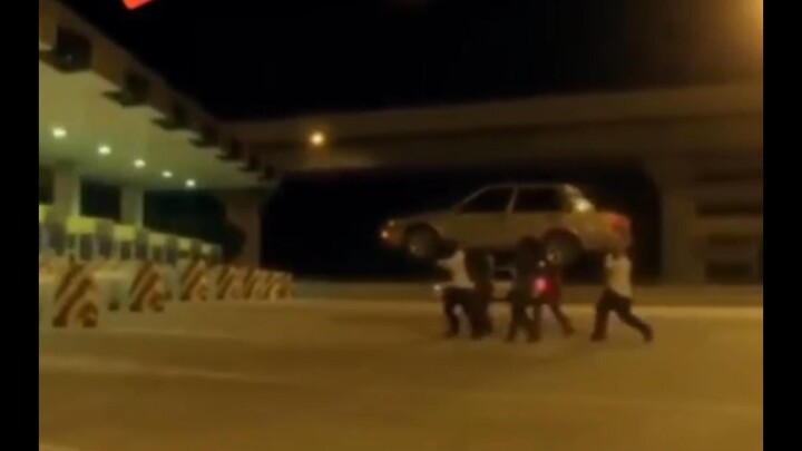 【Kehidupan Lucu Makhluk Bumi #73】