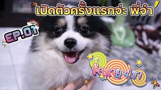 [ เจ้านาย 4 ขา ] ผมชื่อเมลโล่ หนูชื่อมิวมิว Ep.1