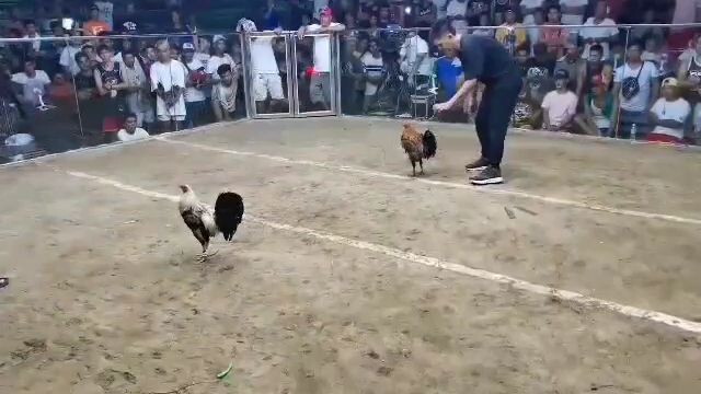 Masantol Robles Cockpit Talisay Para Champion