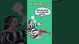 Đây mới là lý do khiến Croccodile bị bắt vào tù