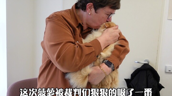I’ve taken my cat to a competition again—and the judges actually snuck a quick cuddle with her in fr