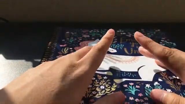 videoplayback (4)