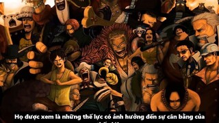 Sự Cân Bằng Giữa Tứ Hoàng - Hải Quân - Thất Vũ Hải _ Thế Lực Nào Mạnh Nhất_ 1