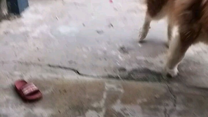 tội em ấy mắt hư rồi