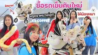 ซื้อรถเข็นคันใหม่! ให้น้องหมา 5 ตัว!! หรูหราหมาเห่อ🐶 l WiwaWawow TV