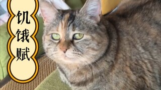The meowing sound is like resentment, longing, crying and complaining.