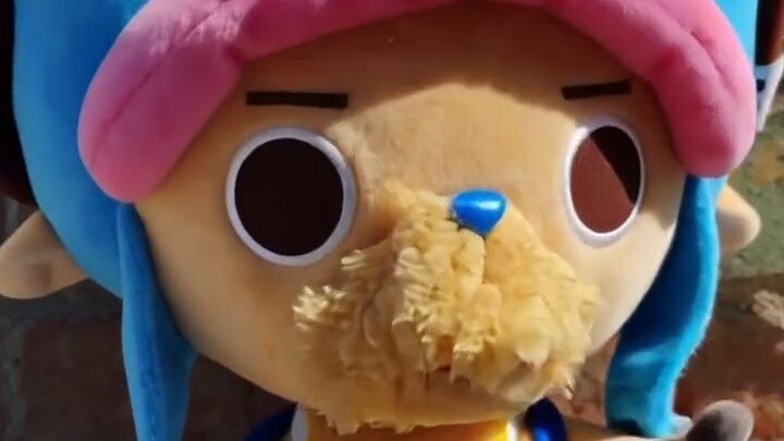 Tony Tony chopper che si muove peluche