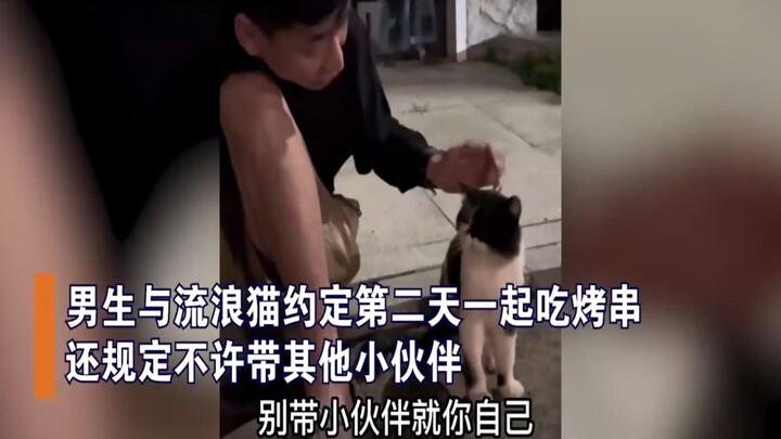 หนุ่มคนหนึ่งนัดกับแมวให้มาทานหมูเสียบไม้ด้วยกัน โดยตกลงกันว่าห้ามพาเพื่อนมาด้วย แต่พอถึงวันรุ่งขึ้น 