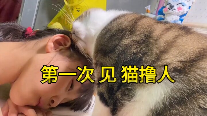 Orang membelai kucing sudah sering dilihat, baru kali ini melihat kucing membelai orang.