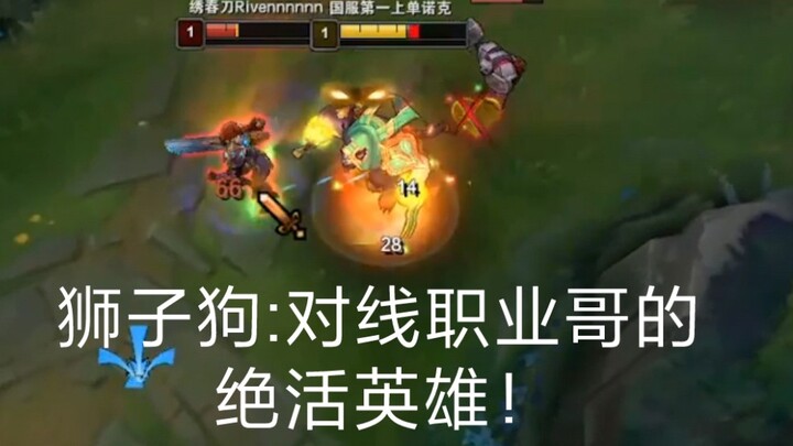 Shi Zi Gou: Hero andalan untuk melawan pro player!