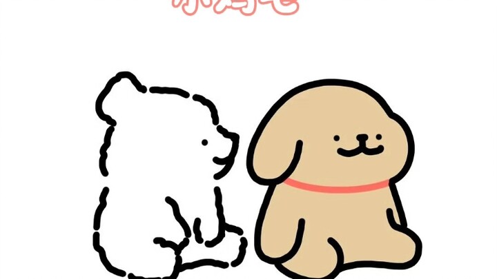 小白一叫小鸡毛准没好事～
