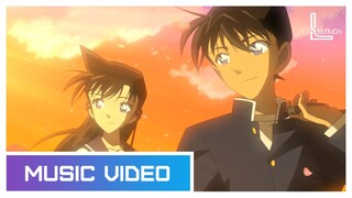 [AMV] Đường Tôi Chở Em Về - Buitruonglinh | Shinichi x Ran | Thám Tử Lừng Danh Conan