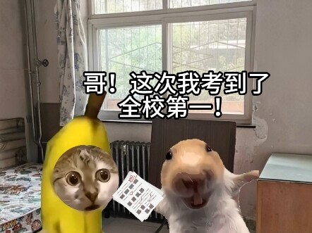 这一刻长兄为父具象化了