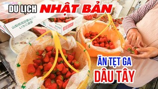 Cách Hái Dâu Tây đúng chất có thể bạn chưa biết | DU LỊCH NHẬT BẢN