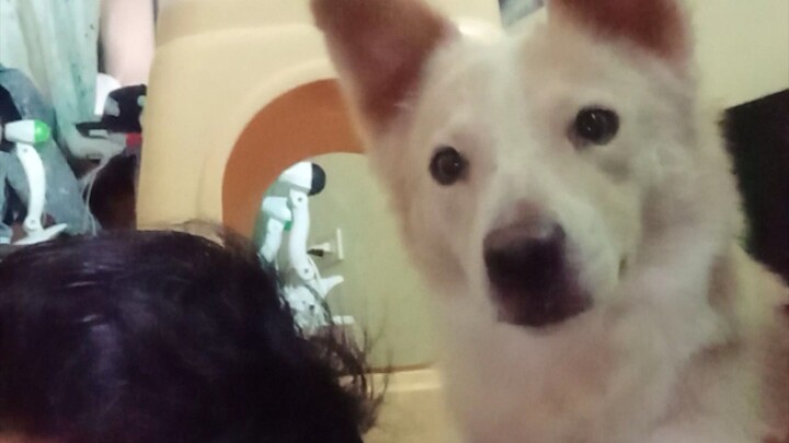 dalawA lang kami n blue