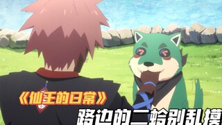 仙王的日常生活5：千万不要乱摸二蛤，仙后孙蓉遇到大危机