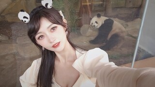 كيف أجذب انتباه الباندا العملاقة؟ هل يمكنني الرقص؟ أنتظر على الإنترنت، أمرٌ عاجلٌ جدًا.