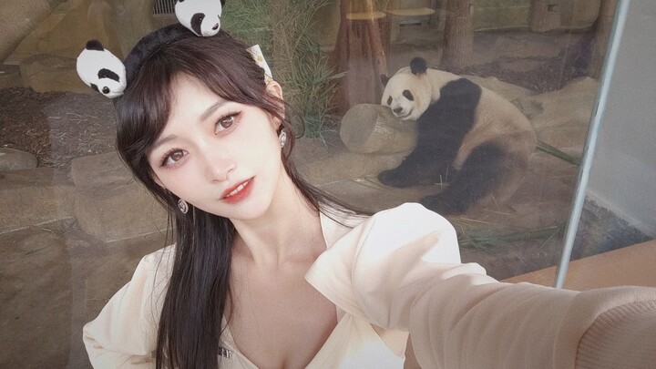 How to attract the attention of giant pandas, can I dance? Waiting online, very urgent