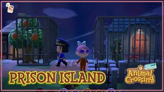 "Bussy Gang" - 5-Star Island Tour | Animal Crossing: New Horizons