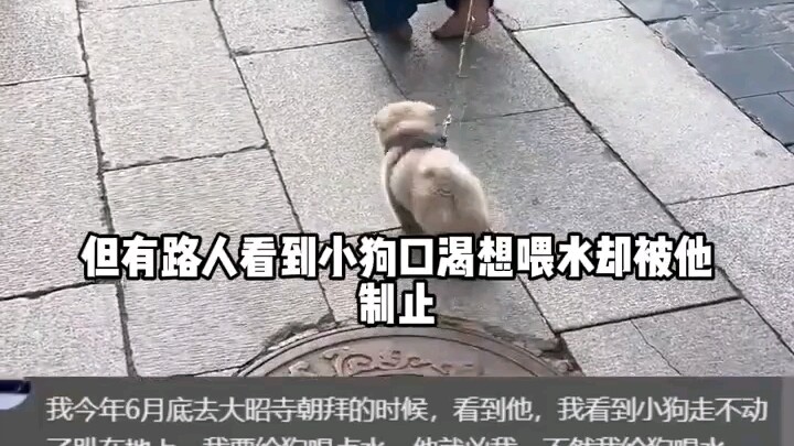 อย่าเอาลูกสุนัขมาสร้างภาพ…