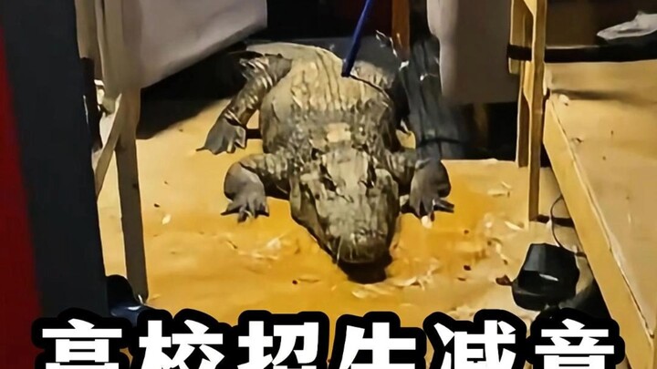 Ketika penerimaan mahasiswa di perguruan tinggi dikurangi, Liu Yuxi langsung menghapus “Loushi Ming”
