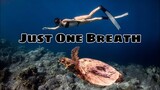 APO REEF (Best Freediving Place in the Philippines) Itinerary + Budget