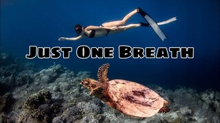 APO REEF (Best Freediving Place in the Philippines) Itinerary + Budget